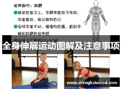 全身伸展运动图解及注意事项