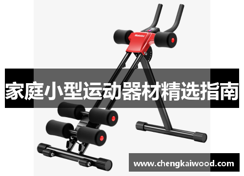 家庭小型运动器材精选指南