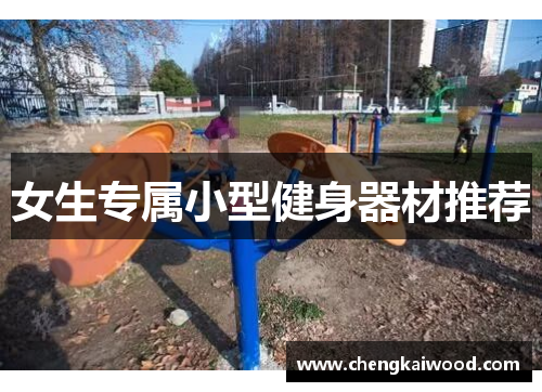 女生专属小型健身器材推荐