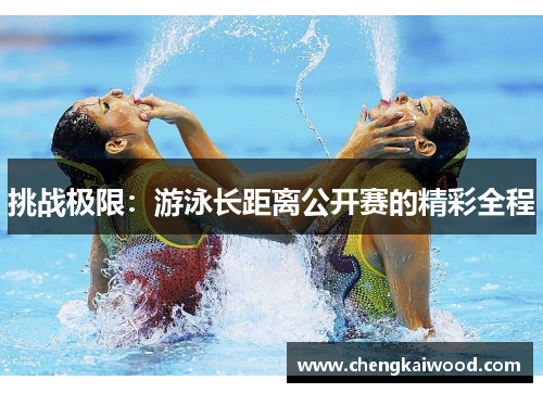 挑战极限：游泳长距离公开赛的精彩全程