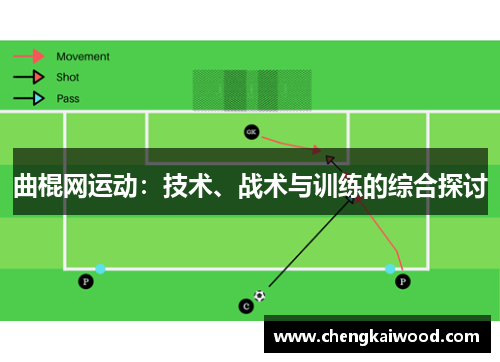 曲棍网运动：技术、战术与训练的综合探讨