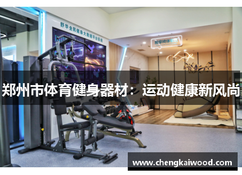 郑州市体育健身器材：运动健康新风尚