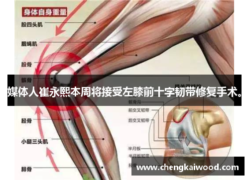 媒体人崔永熙本周将接受左膝前十字韧带修复手术。